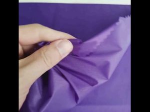 Trung quốc chuyên nghiệp silicone tráng nylon taffeta ripstop vải